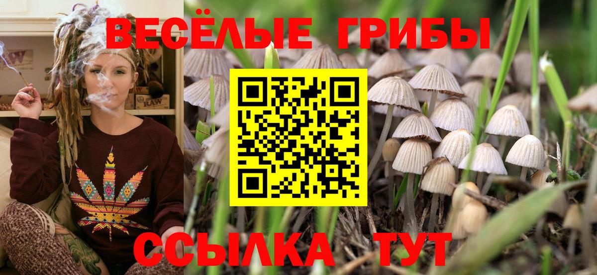 Галлюциногенные грибы Magic Shrooms  Вход с VPN  Киселёвск 